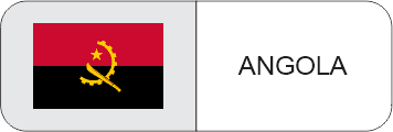TOPTRONIC Angola flag