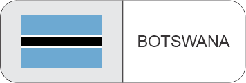TOPTRONIC Botswana flag