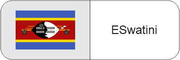 TOPTRONIC Eswatini flag