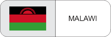 TOPTRONIC Malawi flag
