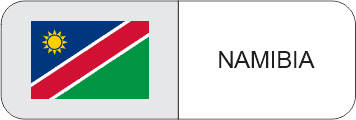 TOPTRONIC Namibia flag